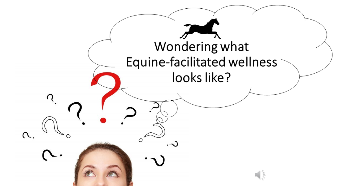 Wondering about equine sessions at Fox Song Farm?